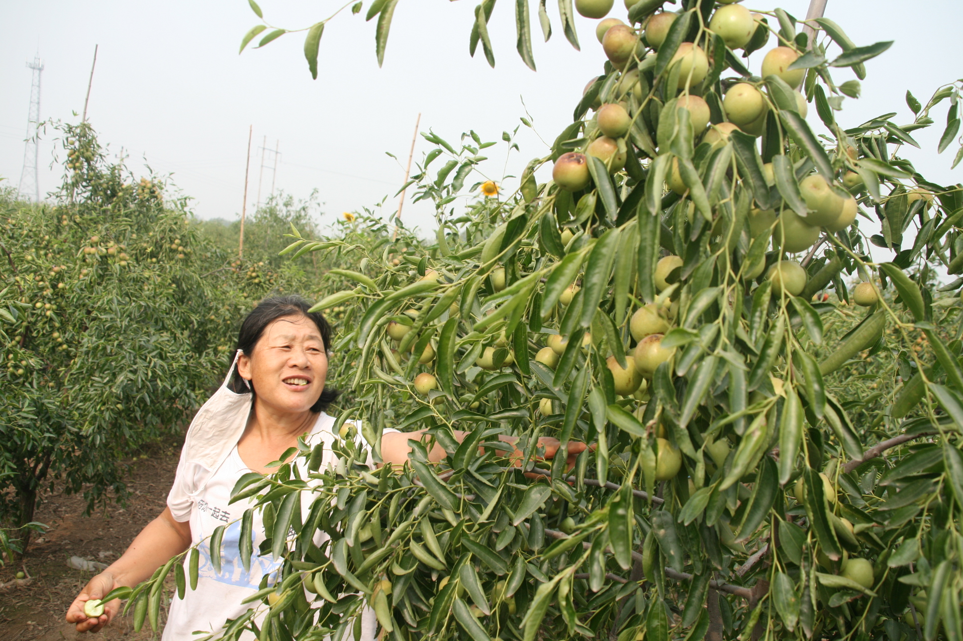 �c���g�[��һ��