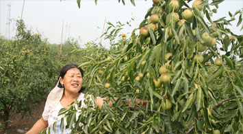 մ���������γɮa�I