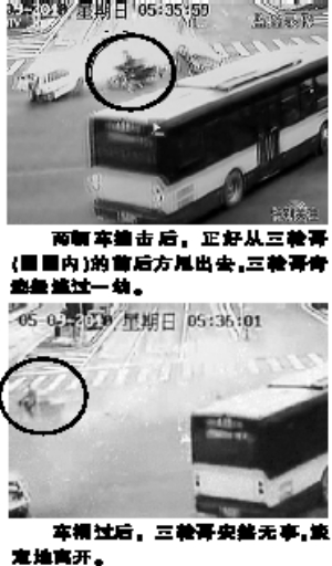 網友迷戀哥哥不只是個傳說