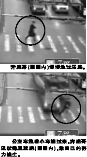 網友迷戀哥哥不只是個傳說