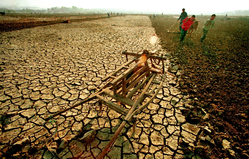 4、《抗?fàn)帯?991年10月,臨沂莒南遭遇嚴(yán)重干旱。勤勞的老區(qū)人民不等不靠,