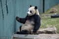 201855գꖡ3ĕr(sh)g˂һֱҕ顰ÄӡƉ(qing)Q顰wŮȻSuL挍(sh)Ԅel(f)D(zhun)