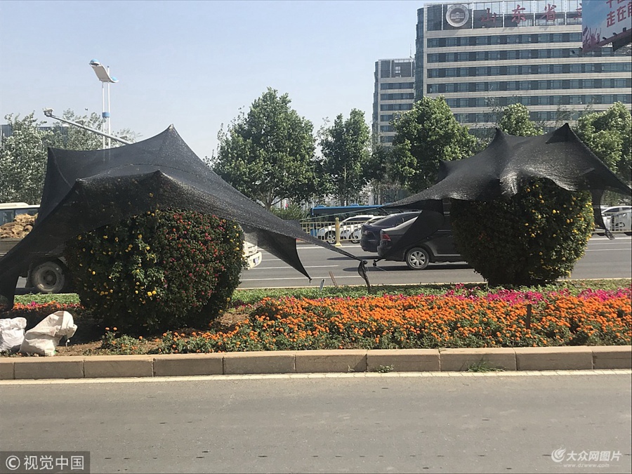 201865գӭ38ȵĸߜ˱ߜرʮ·߅ֲҲꖂ