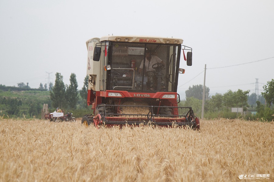 ϼZ}(cng)?zhn)?dng)r(sh)