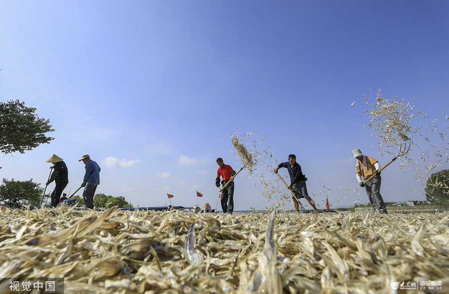 ɺë~ϲ@S O˴a^һƬæ