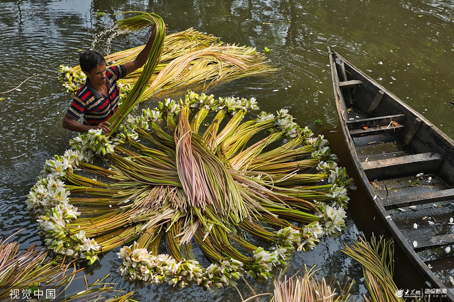 ϼ(gu)r(nng)񄝴ի@˯ɏ  ޴ˮ桰ʢ_