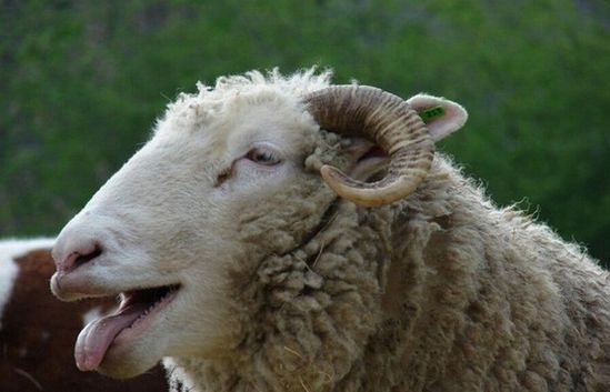 һ̎rľd`ʳGrֵ4000^Ĵ·׃ÿĿĽOOrԭԞ@Щb7ɫϴĴֻͨľGֲȻ@ȺhighˣNɵЦ