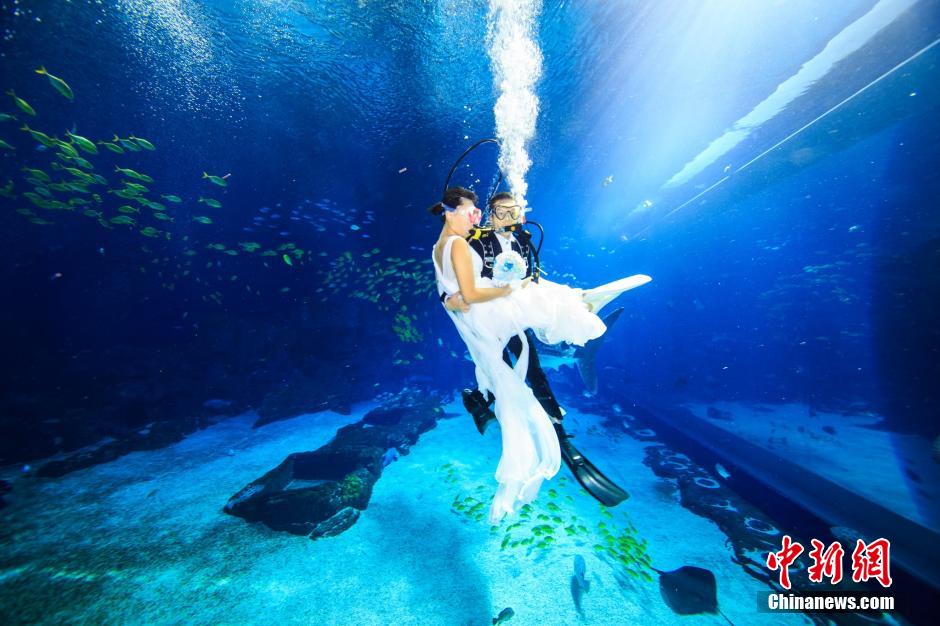 8��14������������������}���@���麣�L¡����������һ�����L���Y���������ګ@��5헼���˹����o䛵��L���^���e����һ���e�_����ĺ��׻�Y��