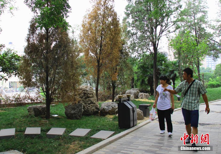 �M�ܹ����ˆTÿ��o�ذ���ľ�Ͳ��ˮ���o����ֲ������ꎾW�������ڸɺ����أ����в���ֲ�����F�����F�������m�ɺ����������o�Ǻӹ��@���֘�ľ�ɿ������Ʒ��z����