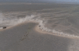 GIF.gif